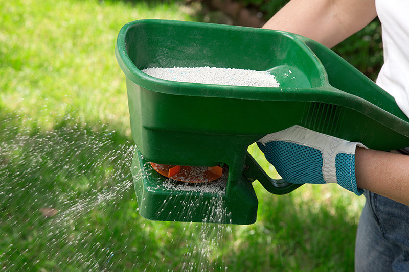 Fertilising Buffalo Grass