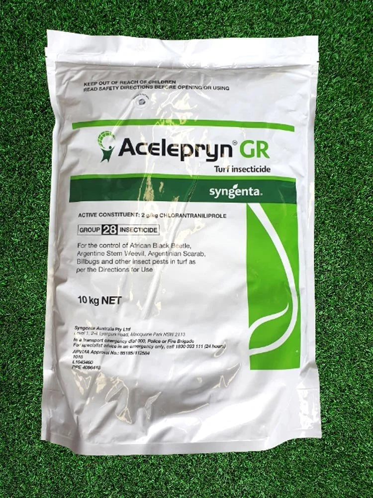 AceleprynGR Lawn Grub