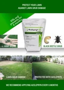 Importance of Protection Against Lawn Grub