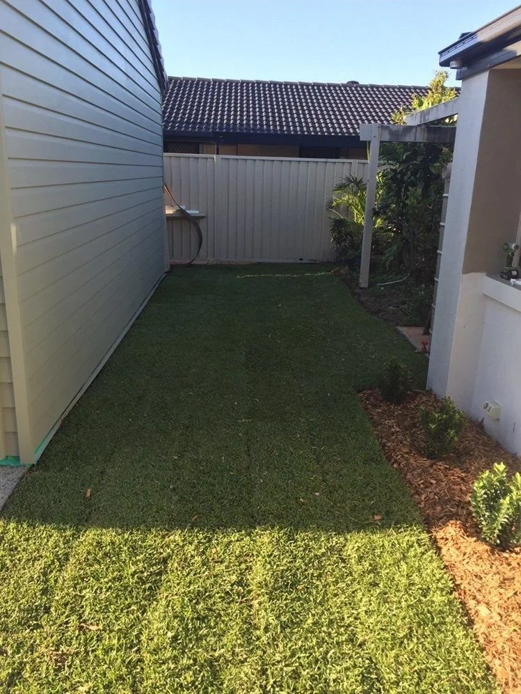Minyama After Sir Walter Turf is Installed