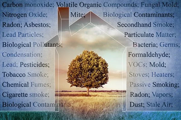 Turf reduces pollutants