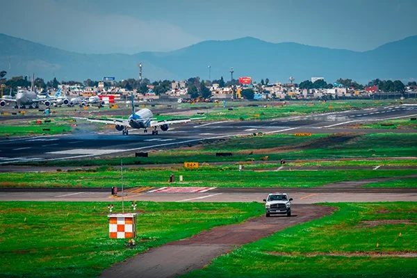 Turf Grass at Airfield