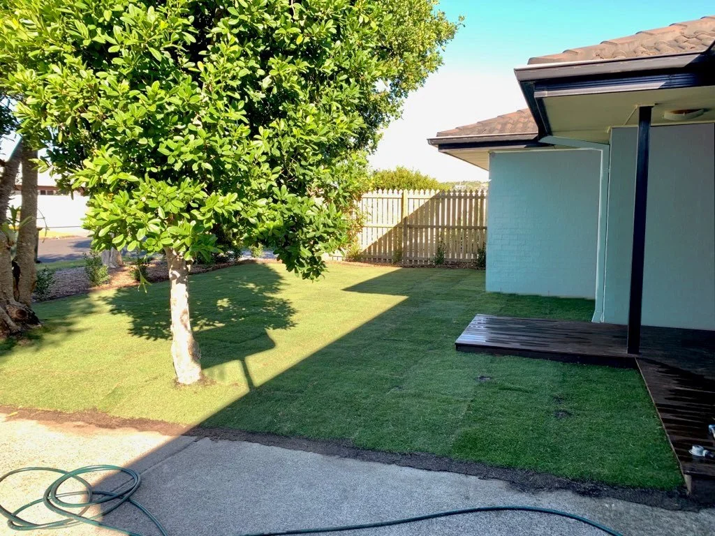 Augusta Zoysia Image 2