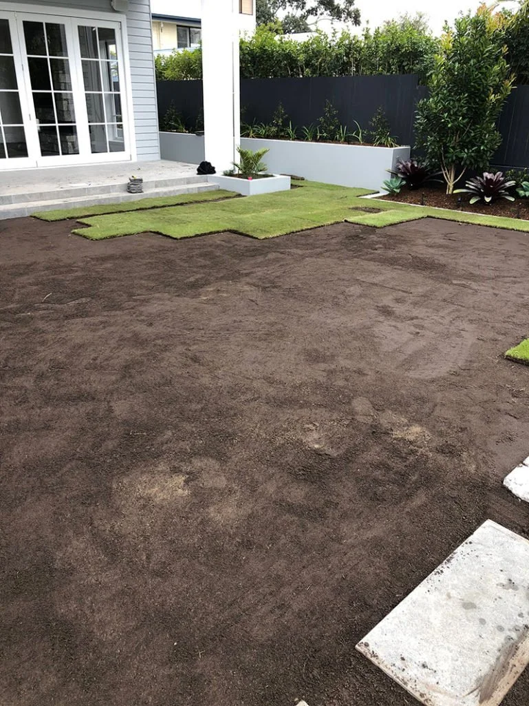 Augusta Zoysia Turf