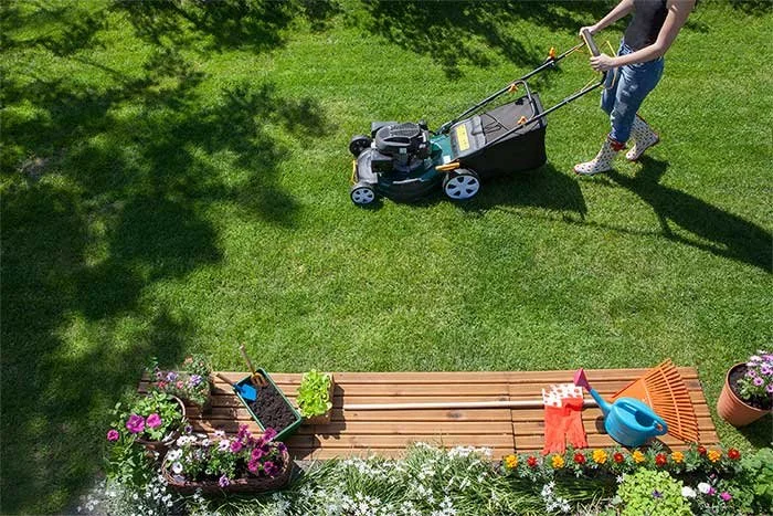 Mowing Buffalo Grass