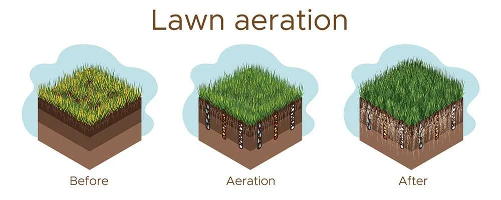 Lawn Turf Aeration Graphic - Image 2