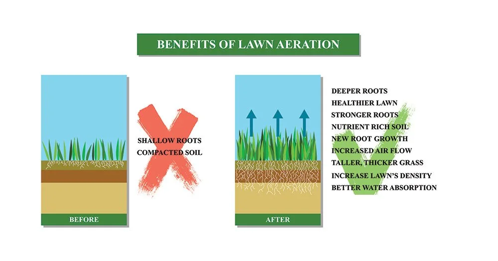 Benefits of Lawn Aeration