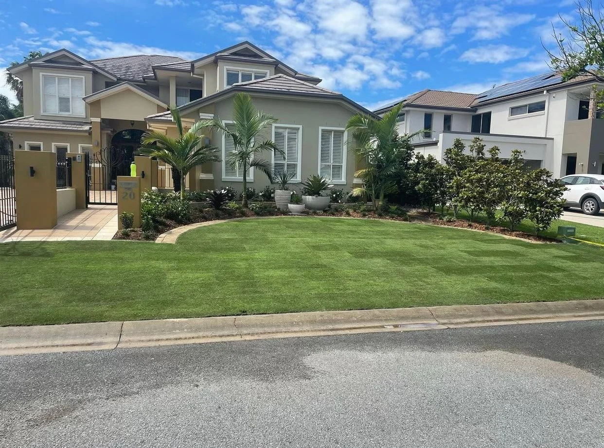 Augusta Zoysia Turf just been laid in Jacobs Well Landscape