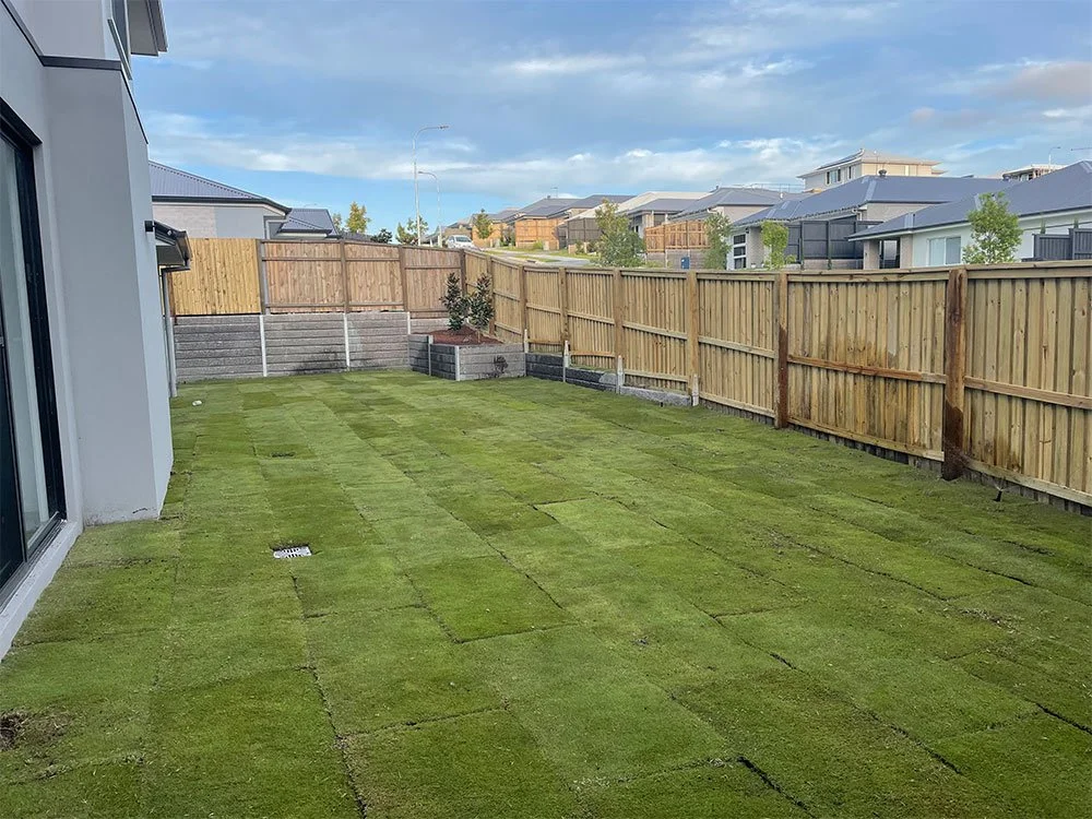 Augusta Zoysia Turf Springfield Turnscape