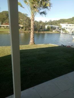 Empire Zoysia Turf at Tweed Heads by Gadd Landscape Solutions Just King - ALC Turf - Image 2