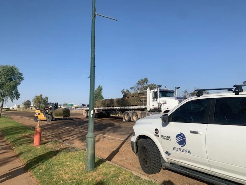 Wintergreen Couch turf going in to Anzac Park Birdsville ALC Turf Eureka Landscapes - Image 4