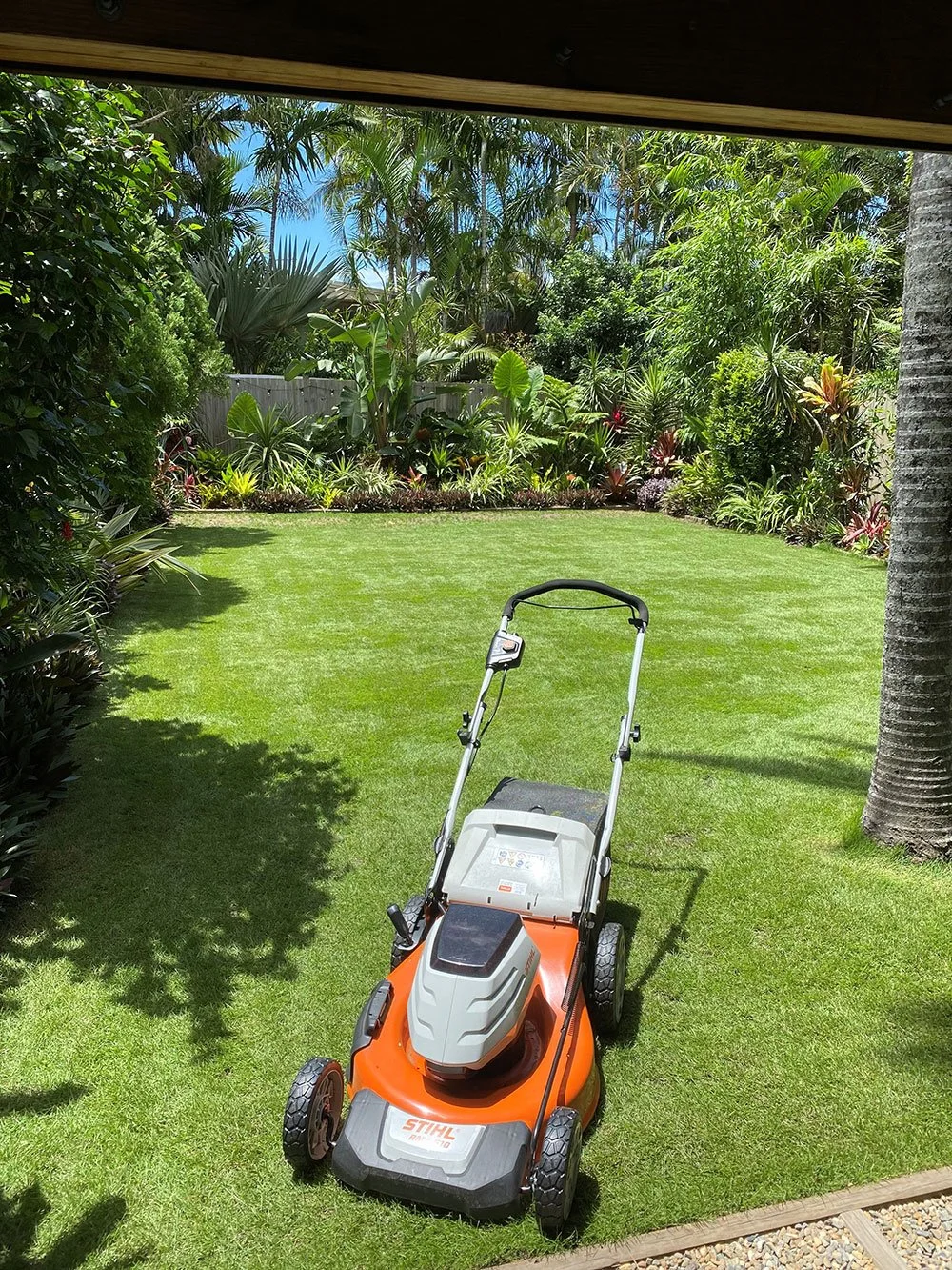 Augusta Zoysia lawn laid in Mermaid in 2020 Image 2