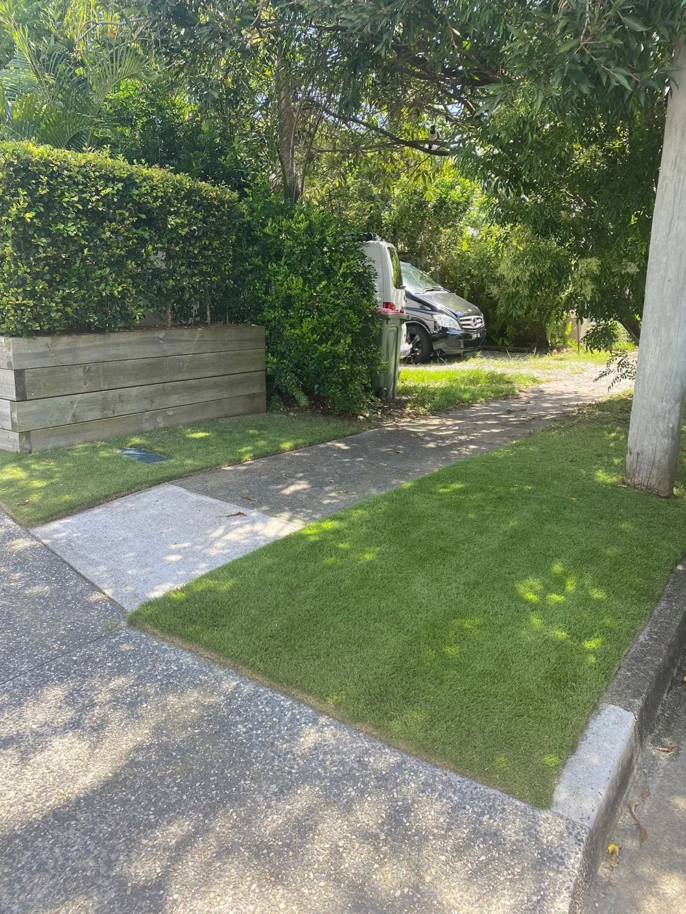 Augusta Zoysia lawn laid in Mermaid in 2020 Image 3