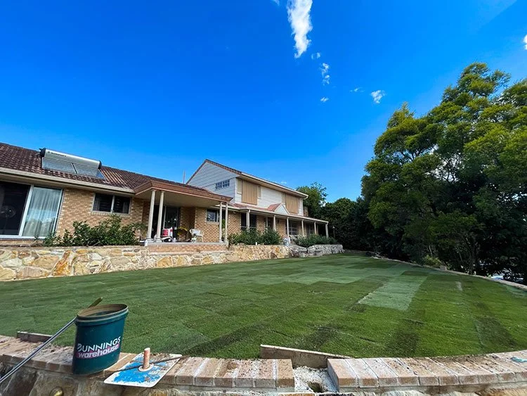 Augusta Zoysia turf just been laid in Mount Ommaney Image 3