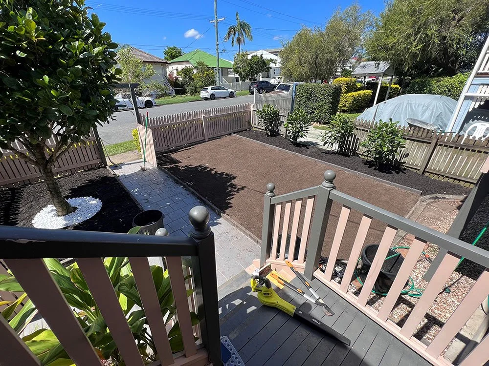 Nara Native Zoysia turf just been laid in Coorparoo - Image 4