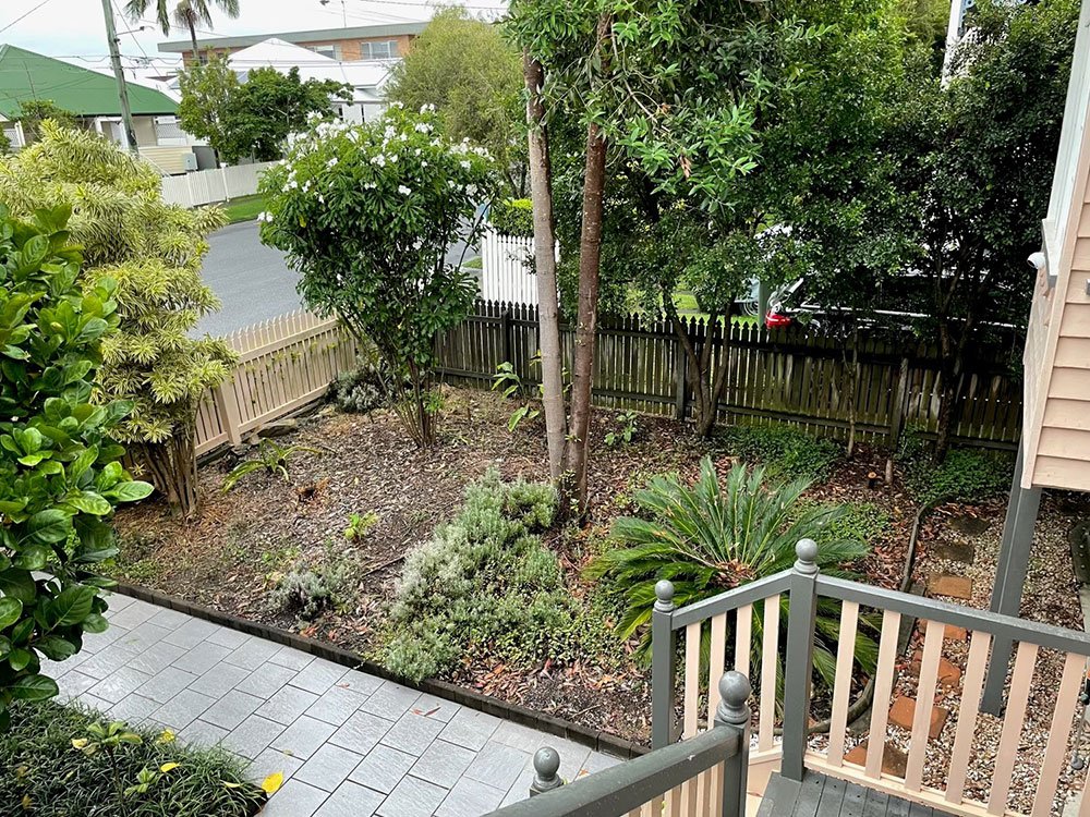 Nara Native Zoysia turf just been laid in Coorparoo - Image 1