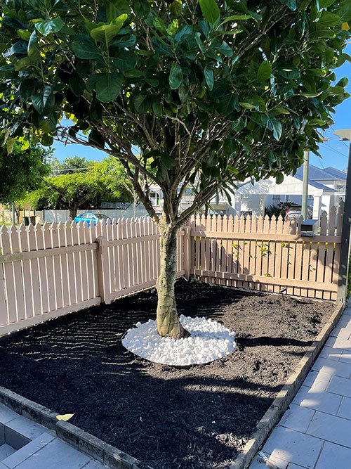 Nara Native Zoysia turf just been laid in Coorparoo