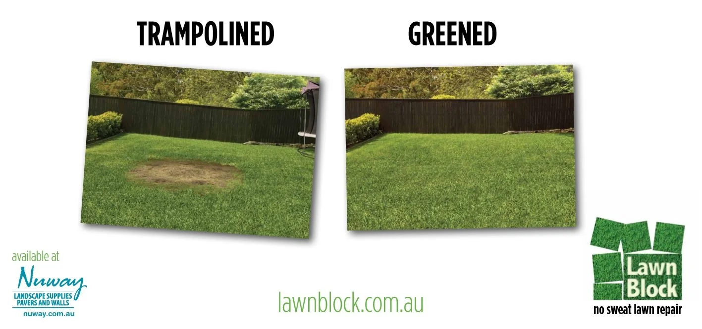 Lawn Repair Trampolined Greened Billboard