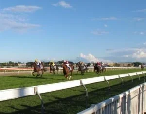 The-Chelsea-Project-Race-Day-Mid-Race-300x234.webp