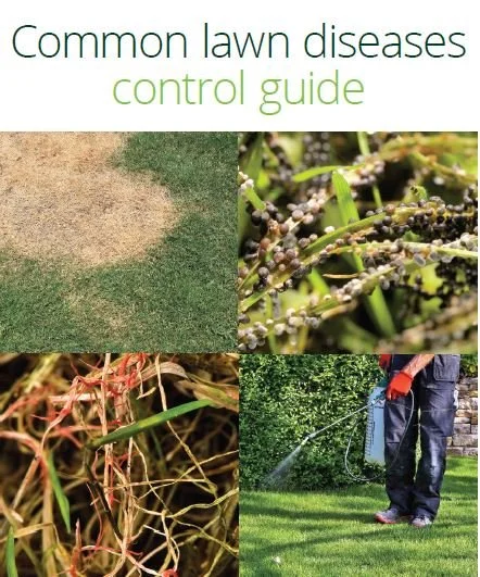 Cover of a guide titled 'Common lawn diseases control guide' with images of a patchy lawn, a plant with white fungal growth, a sick-looking plant with discolored roots, and a person spraying a lawn with a garden hose.