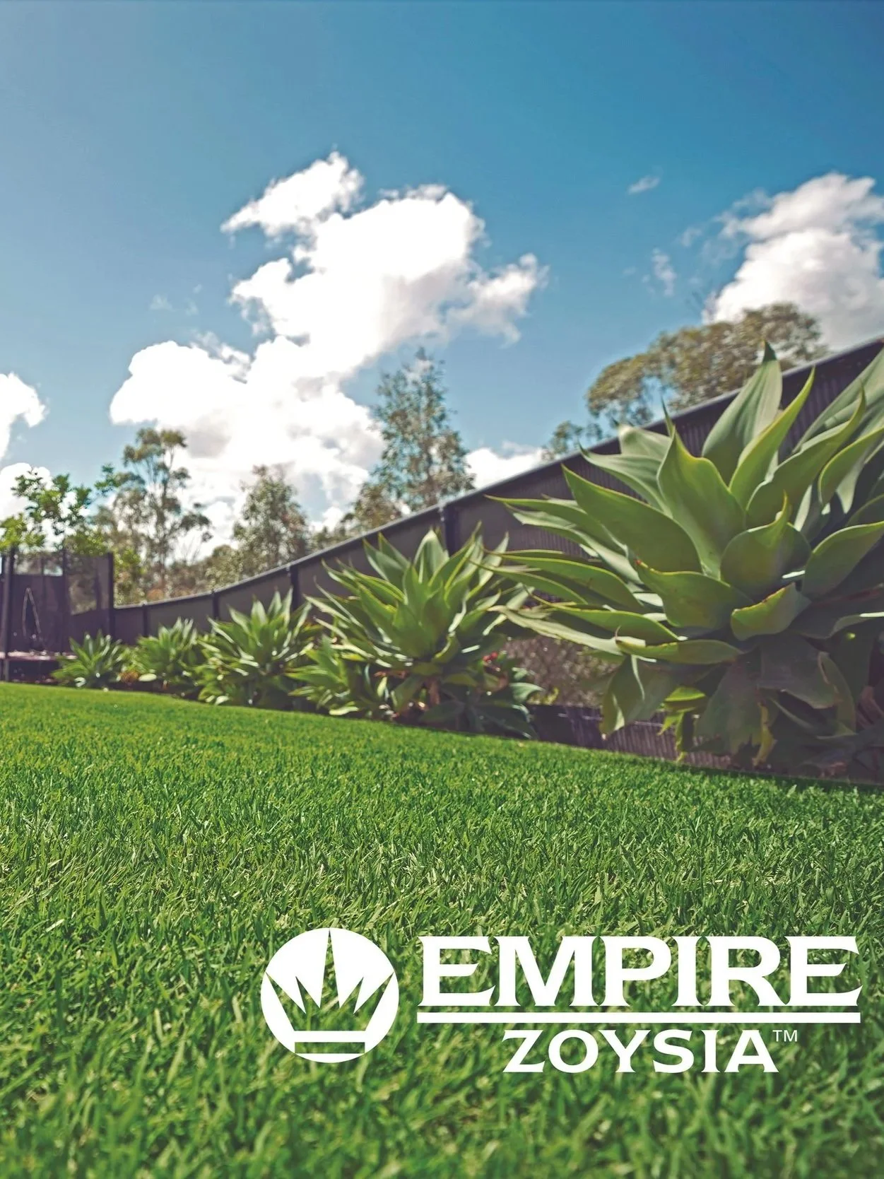 A backyard with green grass, succulent plants along a fence, trees in the background, and a partly cloudy sky during daytime. The lower part of the image has a logo that says "Empire Zoysia" with a crown symbol.