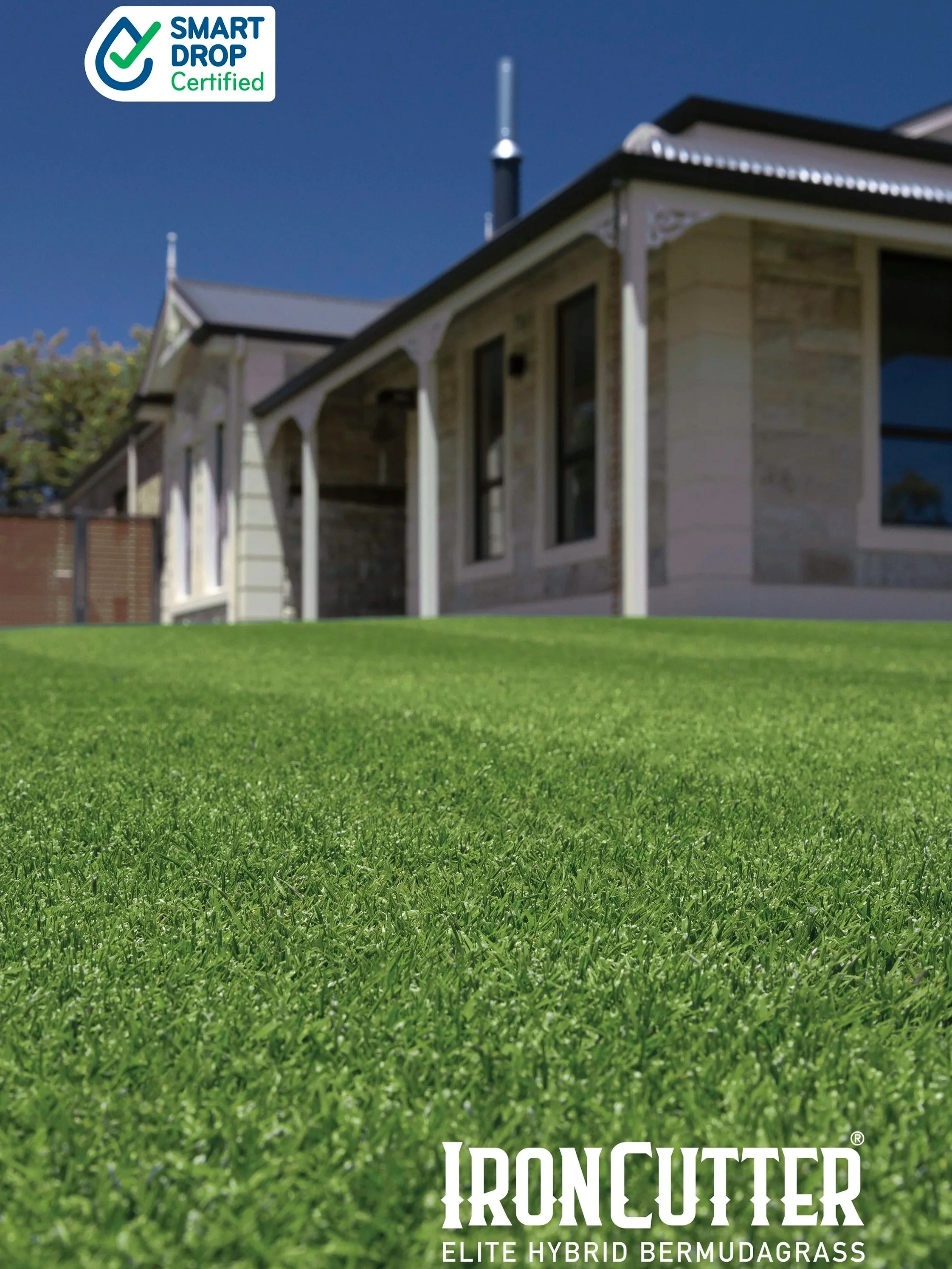 A lush green lawn in front of a house with a logo for Iron Cutter Bermuda grass in bottom right corner. The house has a light-colored brick exterior, large windows, and a dark roof, under a clear blue sky.