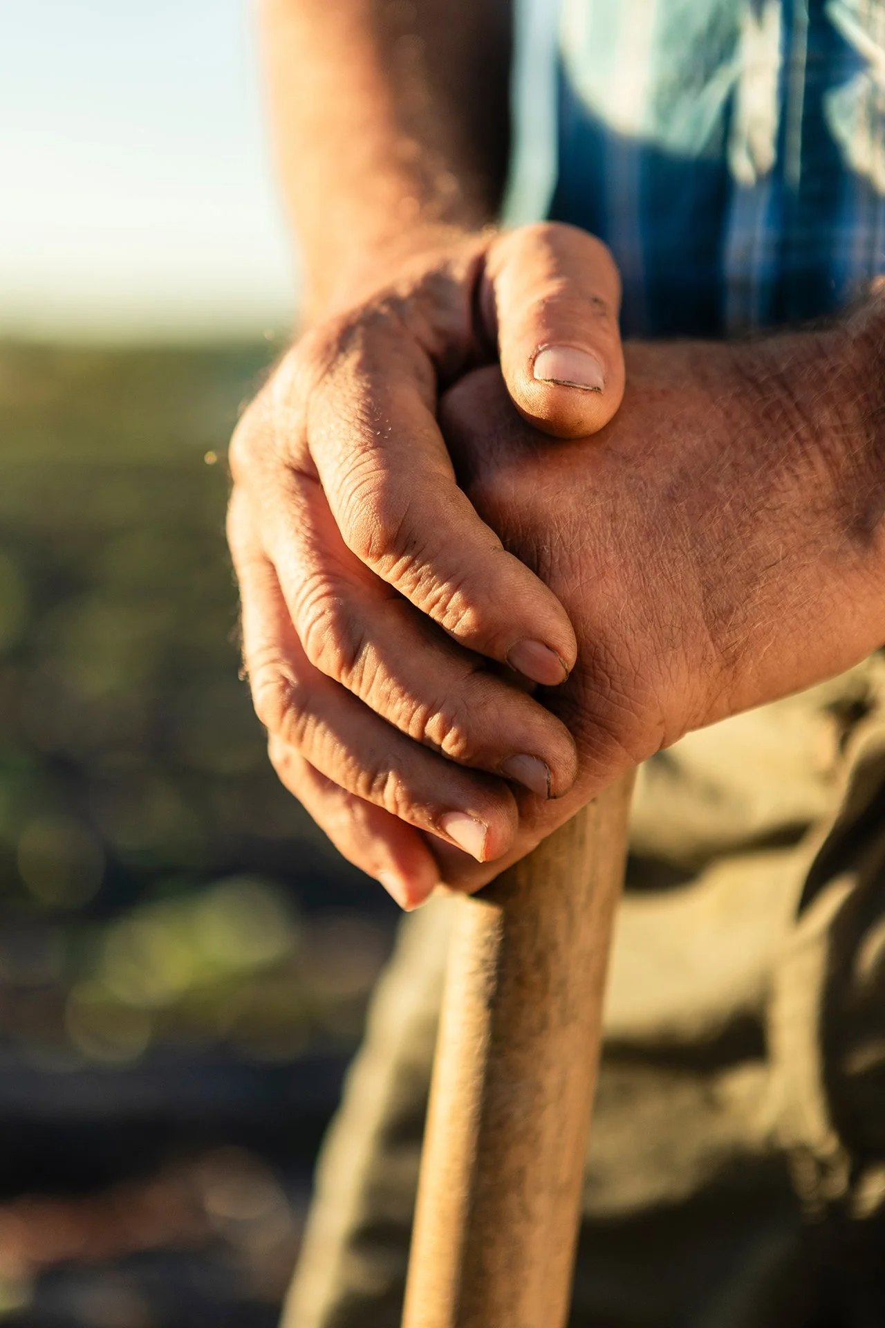 Close-up of two hands firmly gripping a wooden stick in a natural outdoor setting.