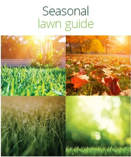 Cover of a seasonal lawn guide featuring four photos: a sunny spring or summer lawn with green grass, autumn leaves on the ground, a close-up of grass blades, and a blurred green background.