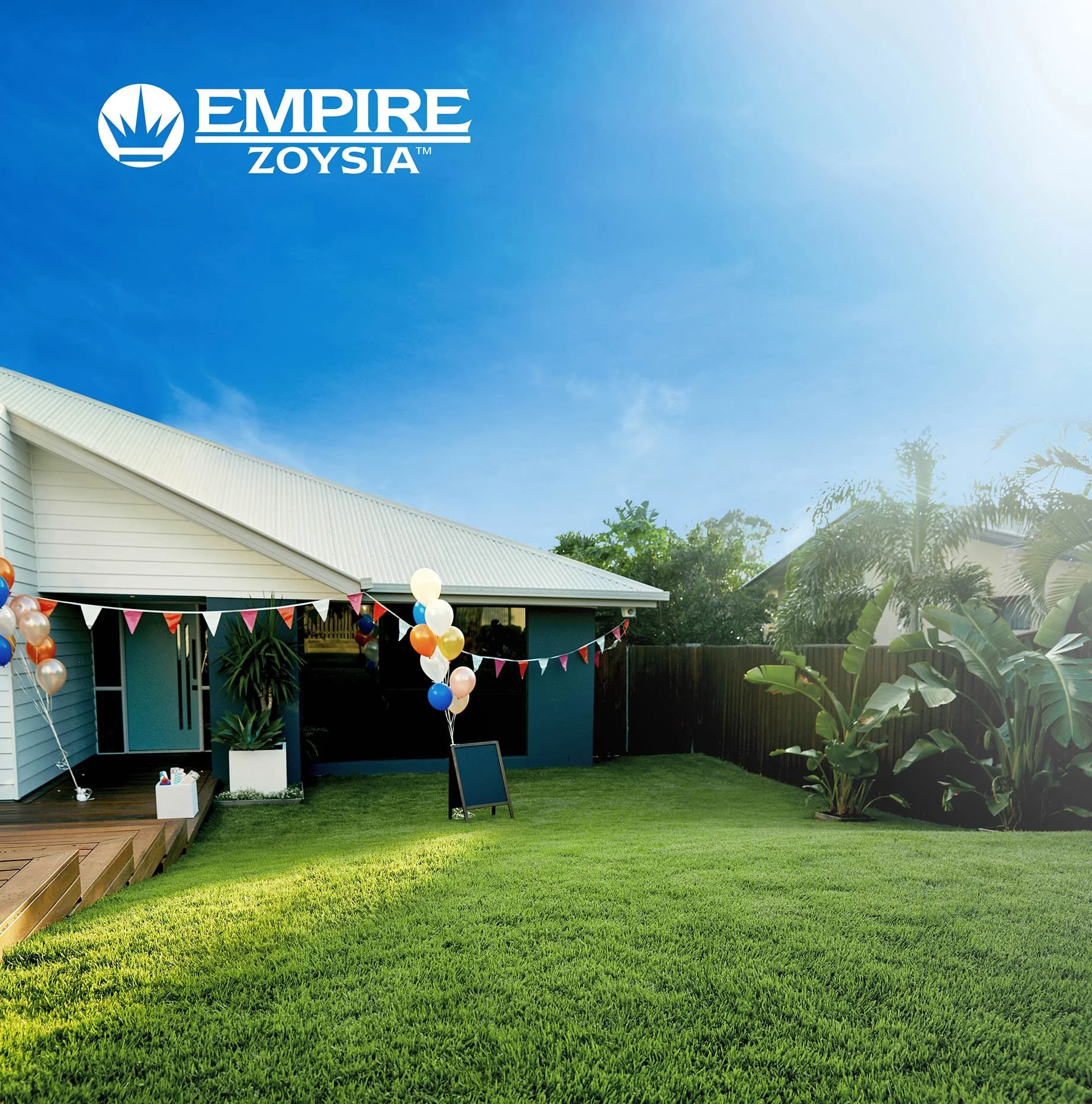 Empire Zoysia