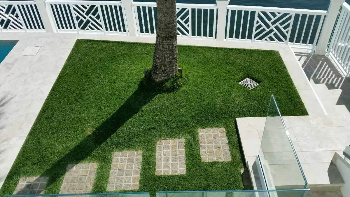 Empire-Zoysia-Turf-Grass-Lawn-GC-Pool-2-Australian-Lawn-Concepts.webp