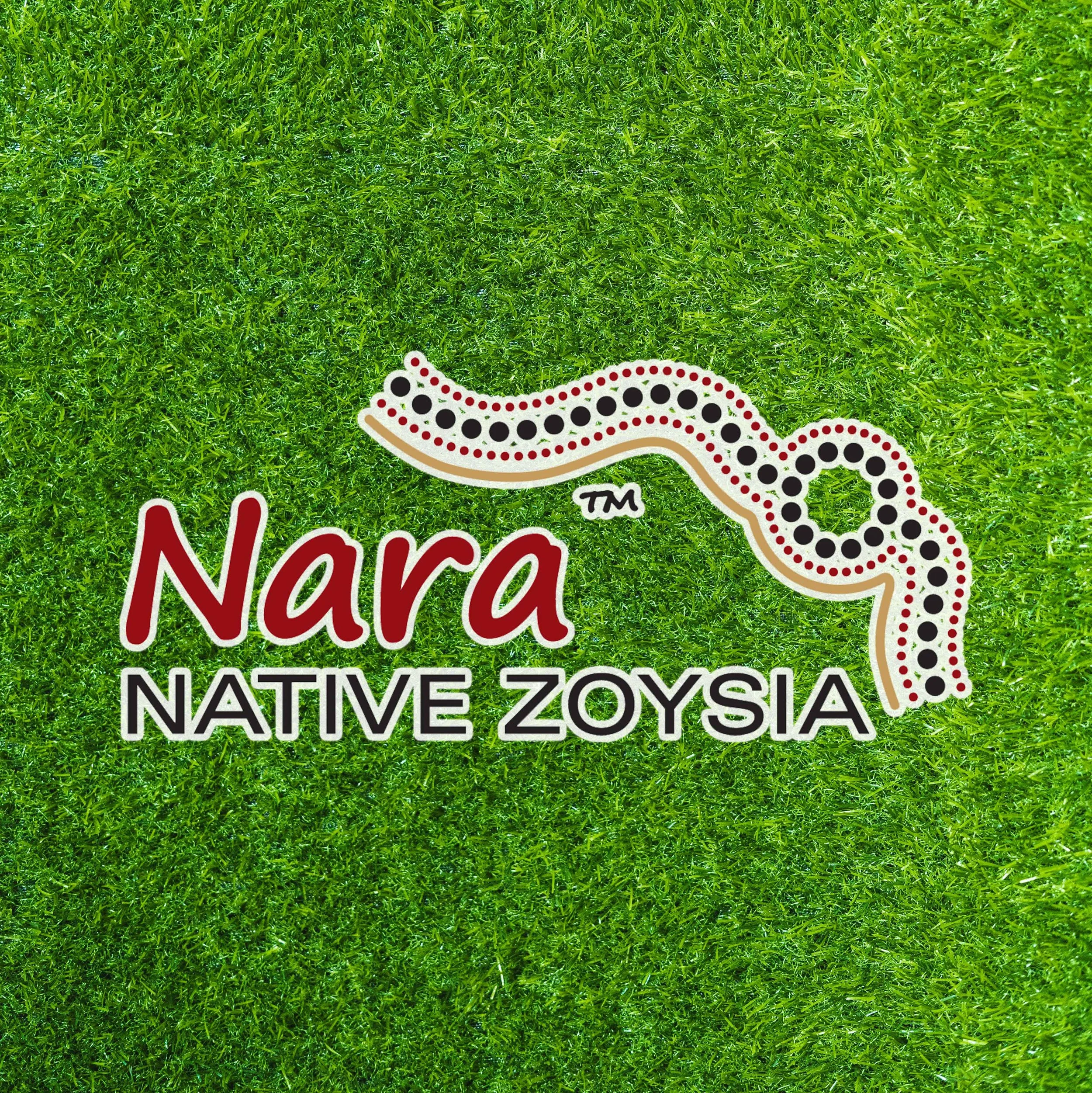 Bright green grass with logo saying the words 'Native Zoysia'.
