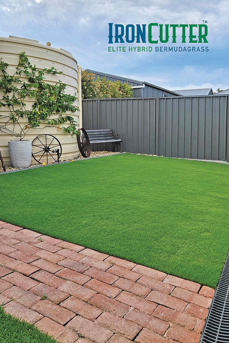 IronCutter Elite Hybrid Bermudagrass 001 Australian Lawn Concepts.png