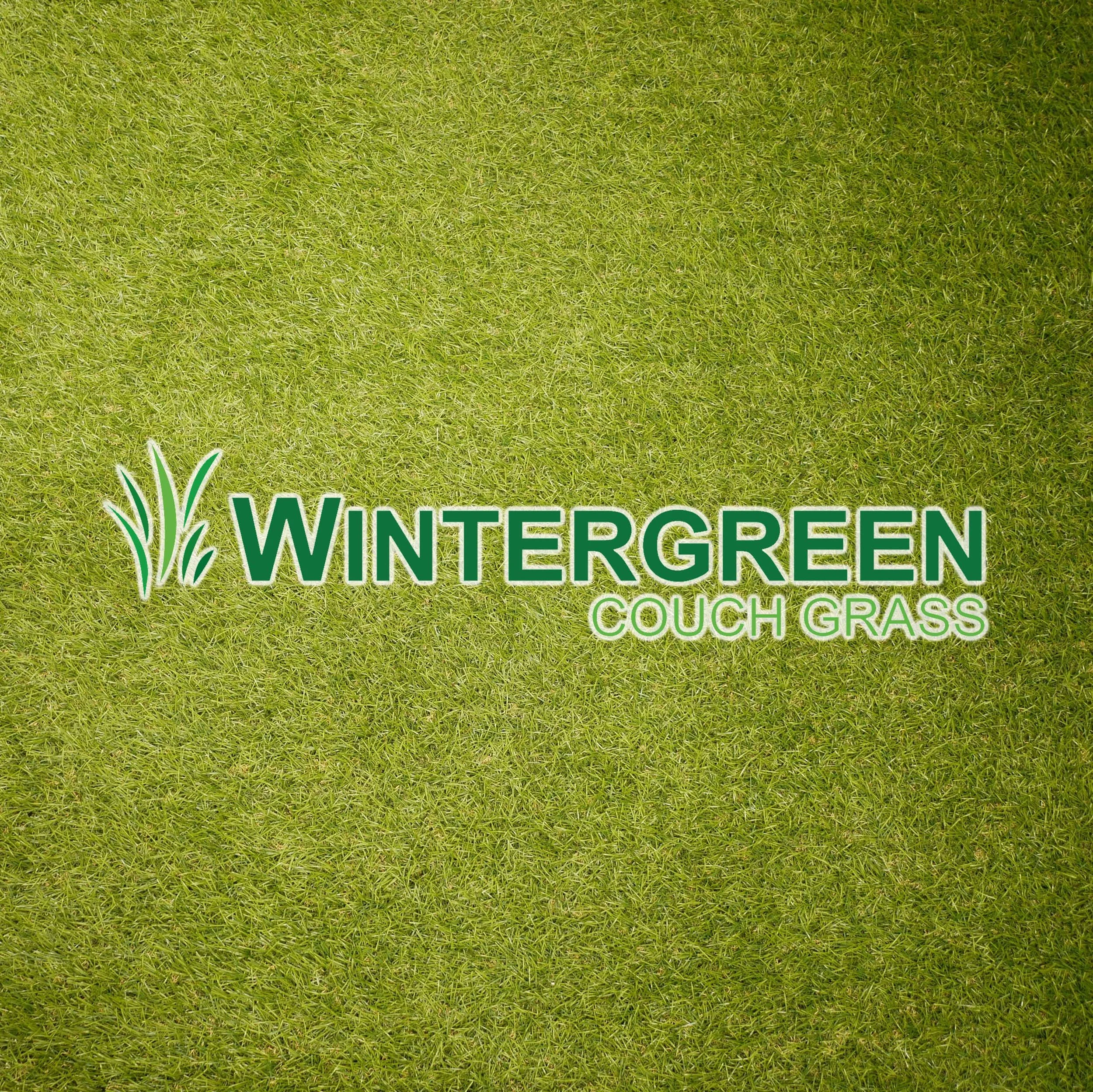 Close-up of a green lawn or couch grass with a logo that includes the word 'Wintergreen' and a stylized green plant.