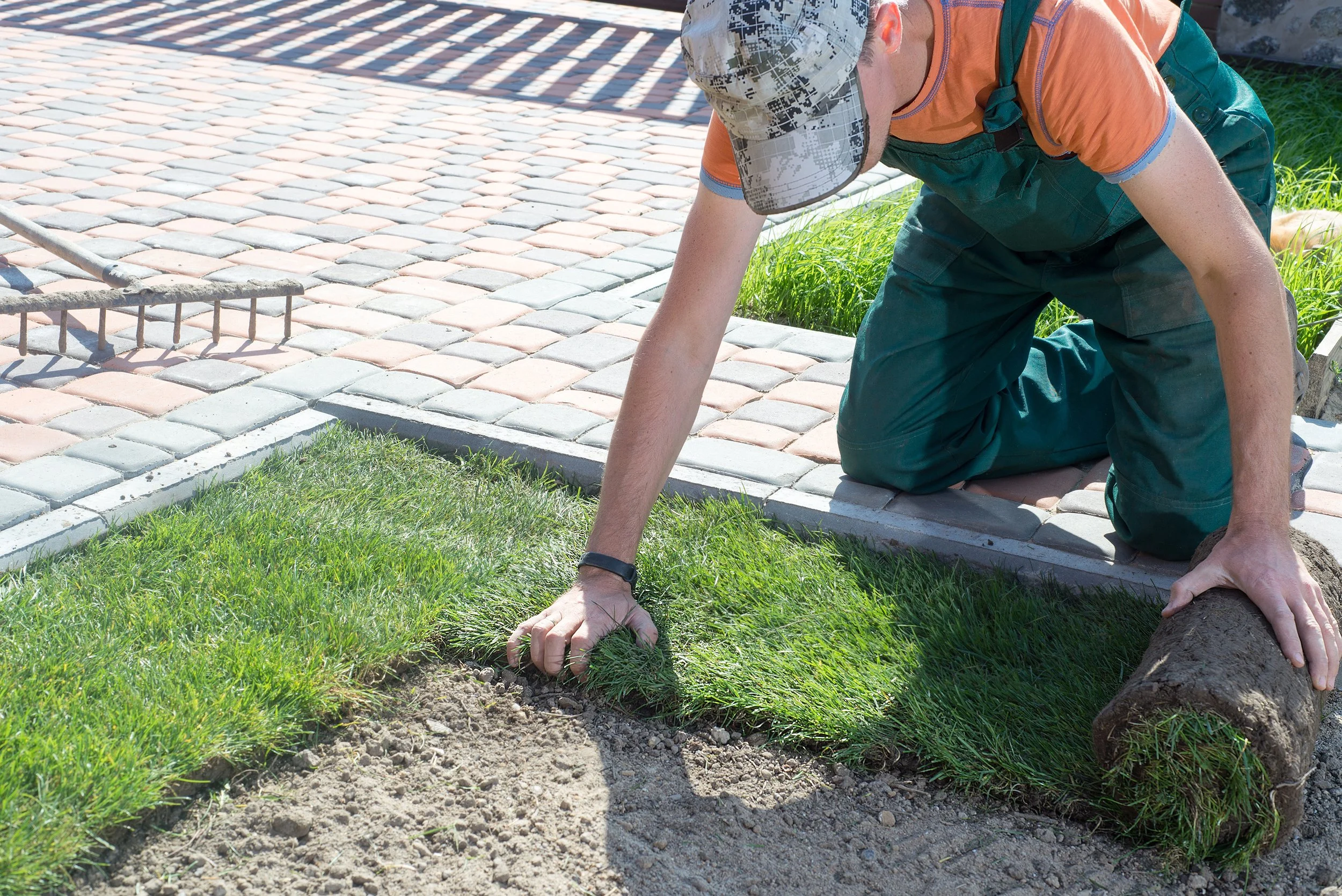 A person kneeling on the ground laying grass next to a sidewalk, wearing a camouflage cap, orange t-shirt, and green overalls.