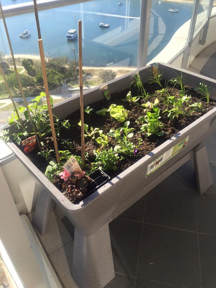 GardenEasi sitting in the light growing plants.