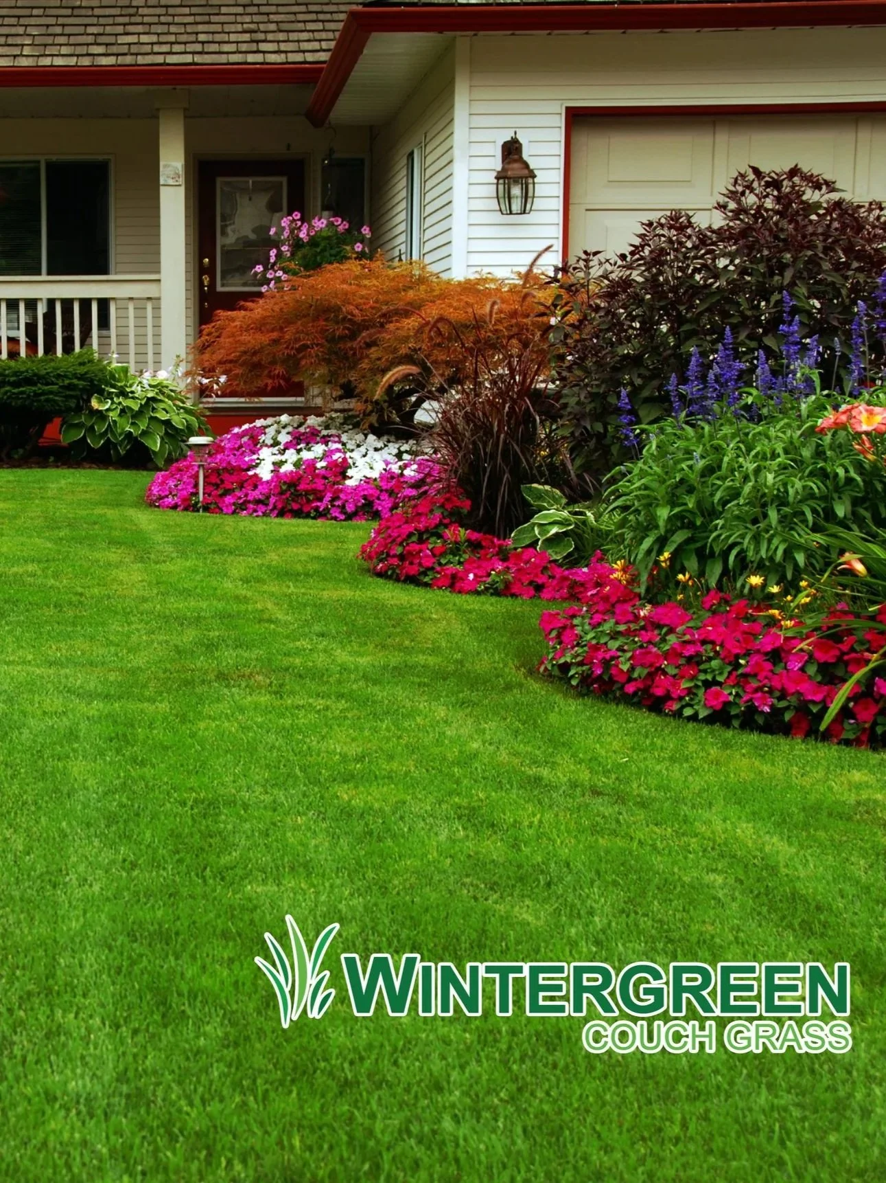 A lush green lawn with a garden bed of colorful flowers including purple, pink, white, and red, in front of a house with white siding and a red roof. The house has a door with a floral wreath, a porch light, and a garage door. There is a logo with grass and the text "Wintergreen Couch Grass" at the bottom of the image.