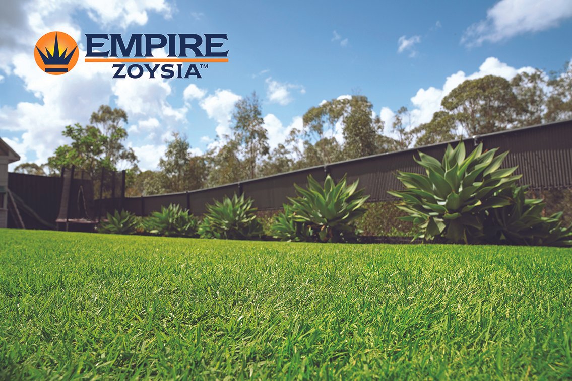 EMPIRE_ZOYSIA_18_with_logo_web.jpg