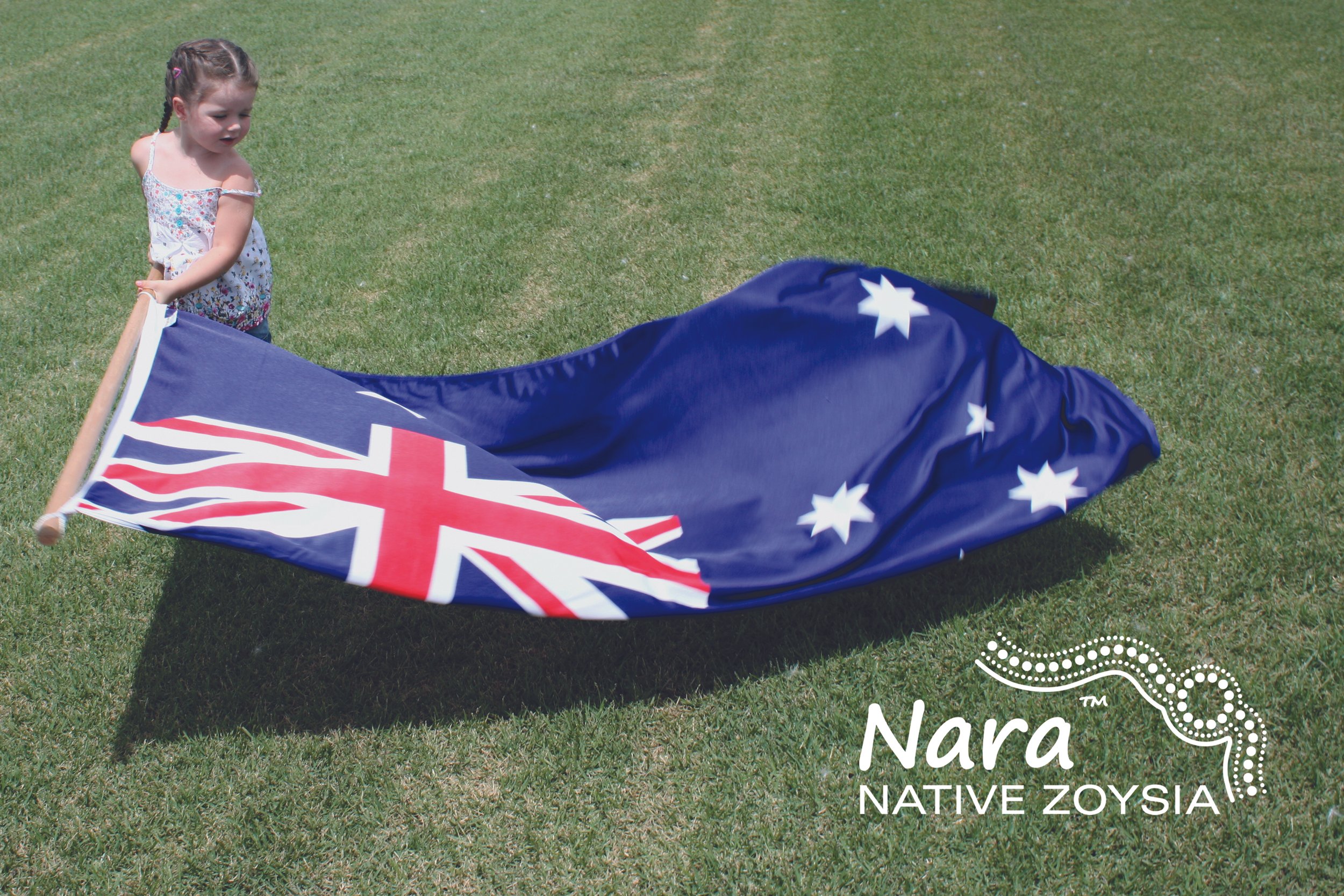 NARA_NATIVE_ZOYSIA_09_with_logo_print.jpg