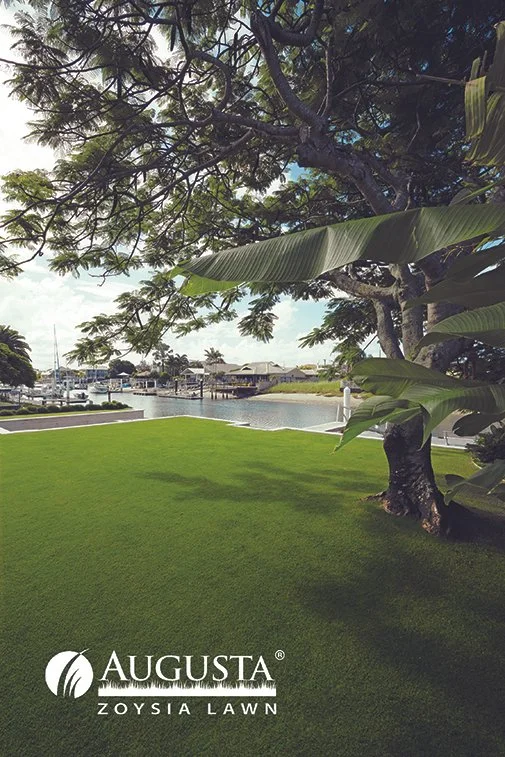 Augusta_Zoysia_07_with_logo_web.jpg