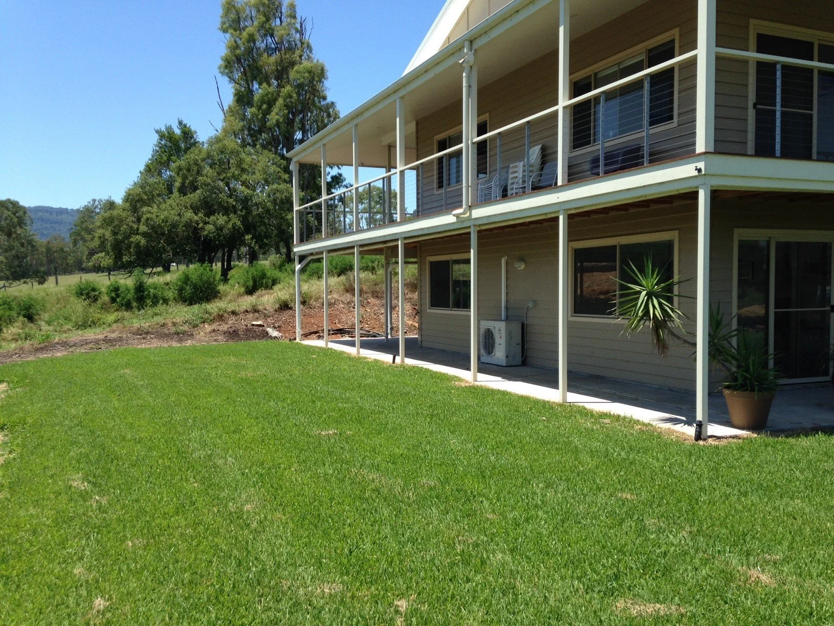 Sir Walter Buffalo Grass at Australian Lawn Concepts Office 3.jpg