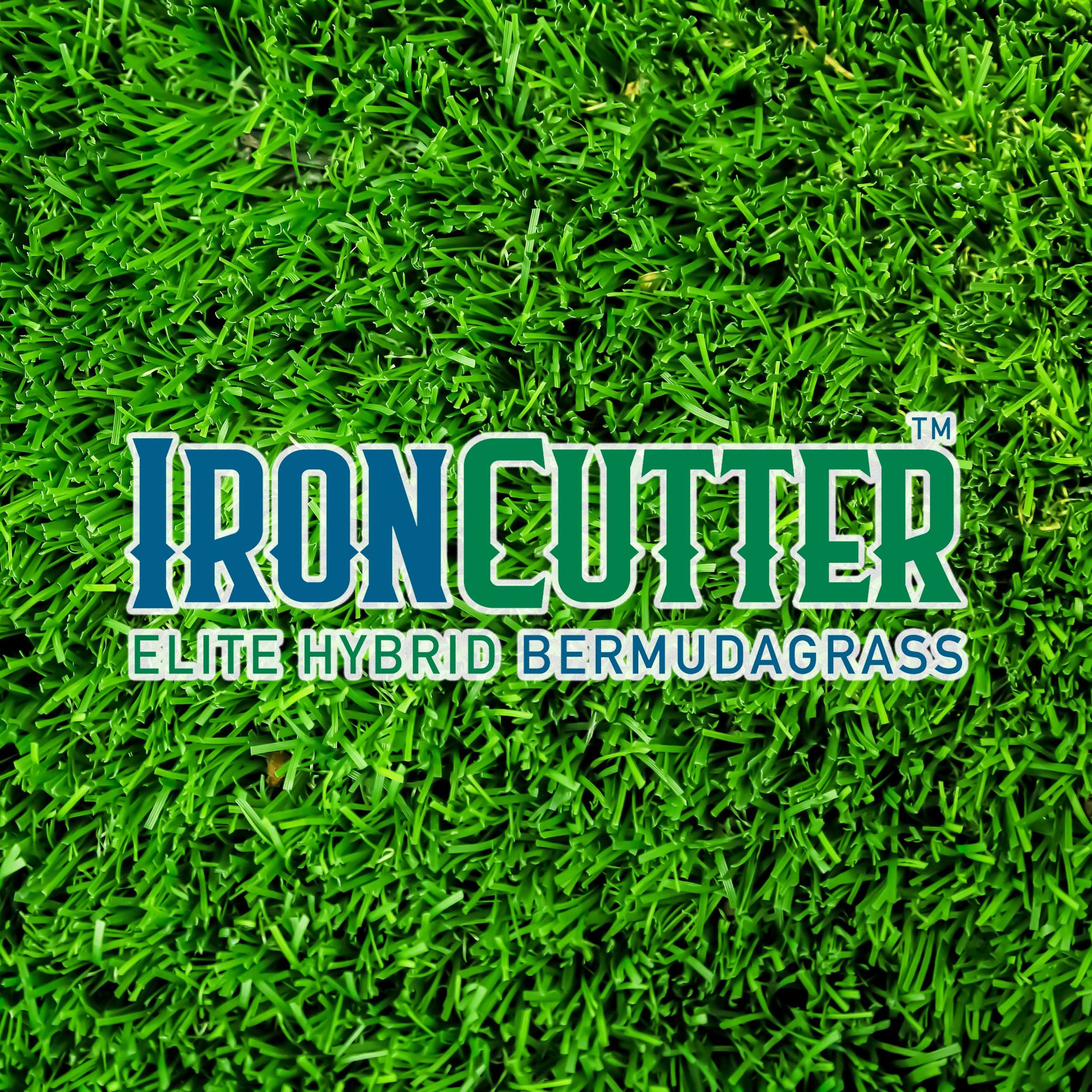 Close-up view of green Bermuda grass with part of a label reading 'IRONCUTTER'. 