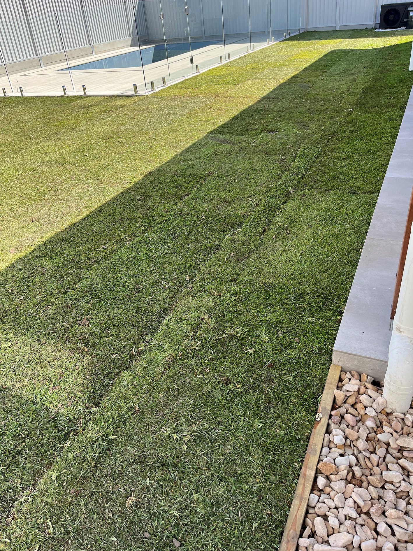 Image of a backyard with a green lawn, a glass pool fencing, and a white fence in the background. There is a concrete patio on the right side and a wooden border with rocks at the edge of the grass.