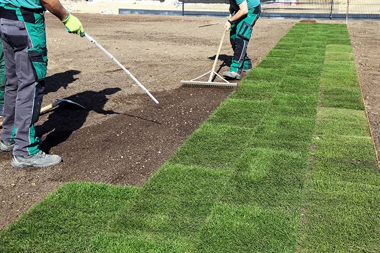 Two workers planting grass.