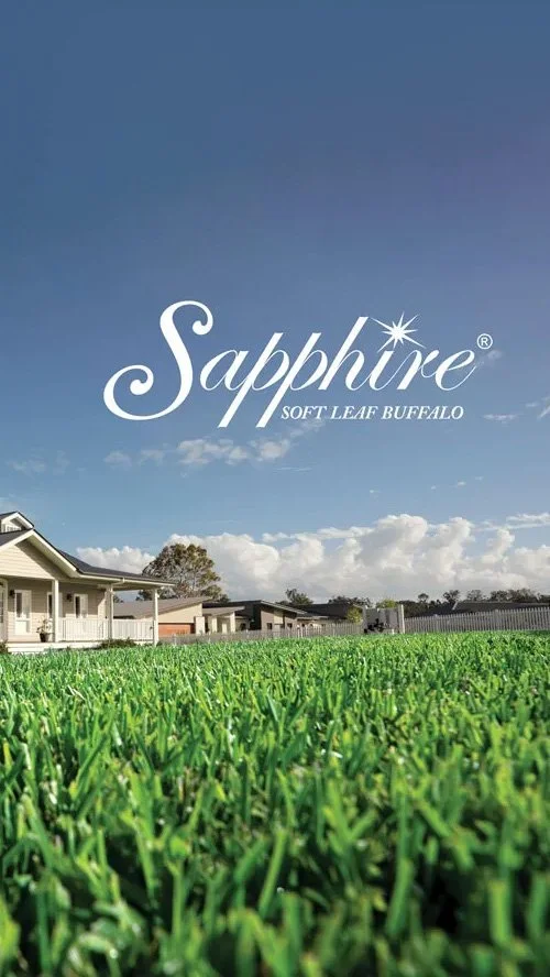 Sapphire-Soft-Leaf-Buffalo-Lawn-CENTRED.jpg