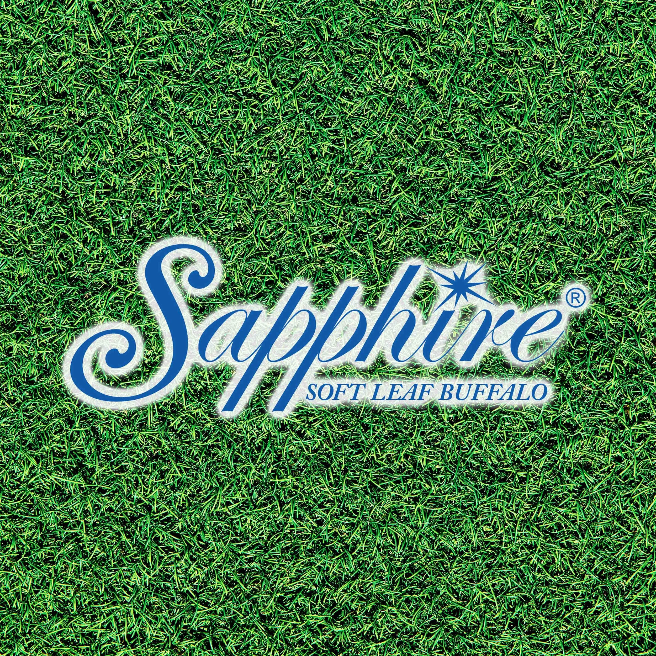 A design featuring a background of bright green grass with the words 'Sapphire' and 'Soft Leaf Buffalo' written across it.