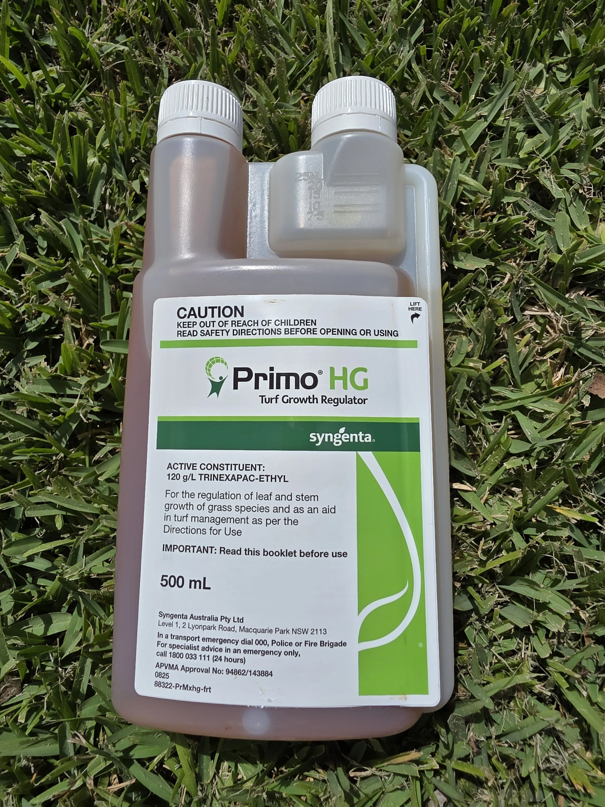 primo hg front.jpg