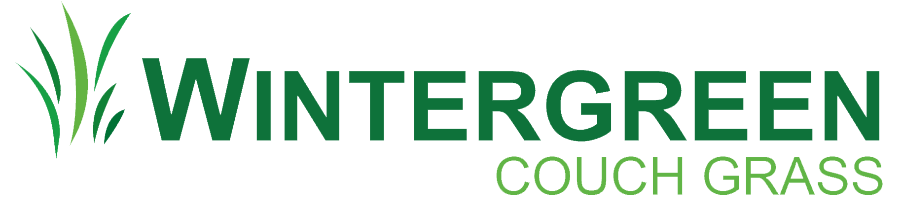 Logo for Wintergreen Couch Grass featuring green grass graphic and text.