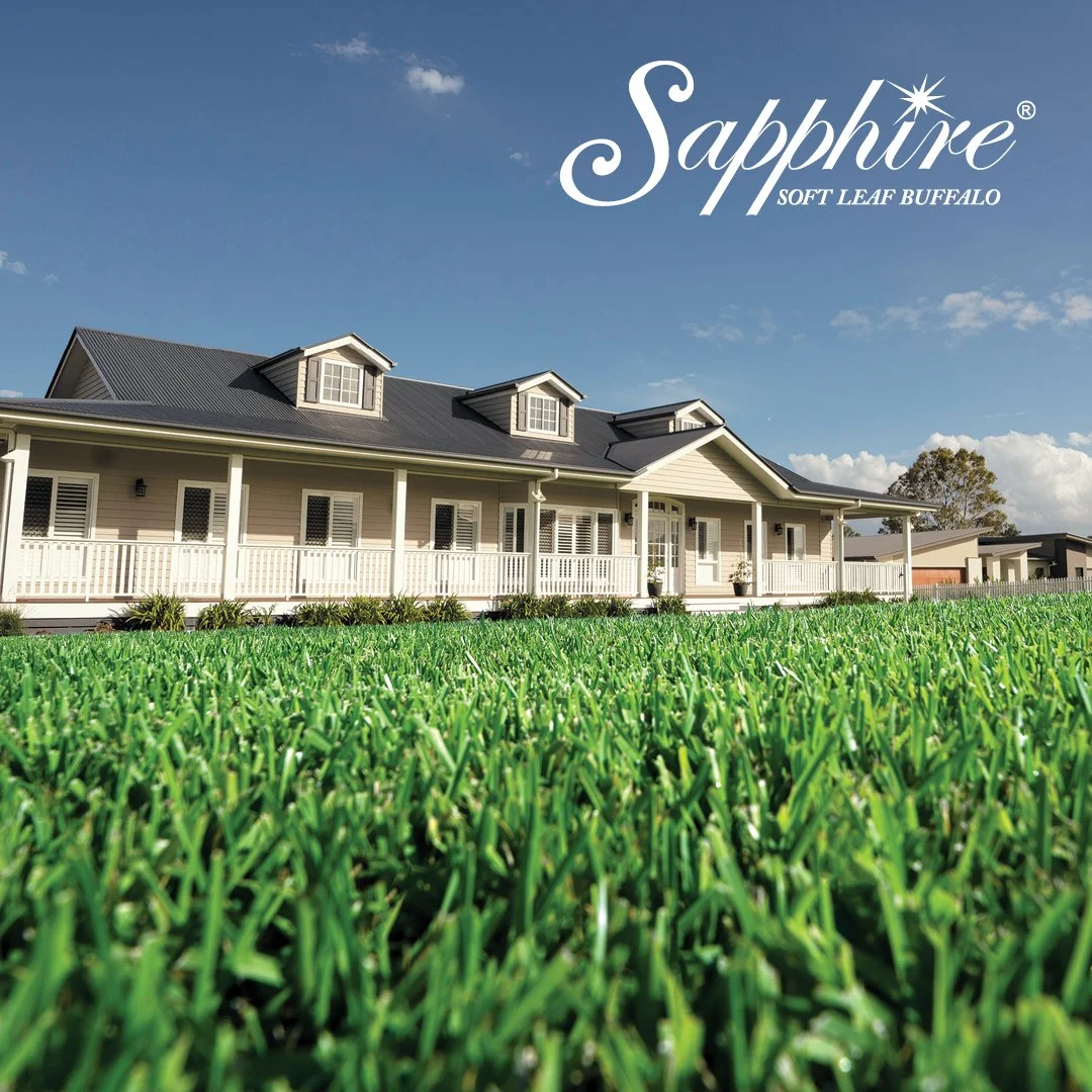 SAPPHIRE_BUFFALO_13_FB_1080x1080_with_logo.jpg