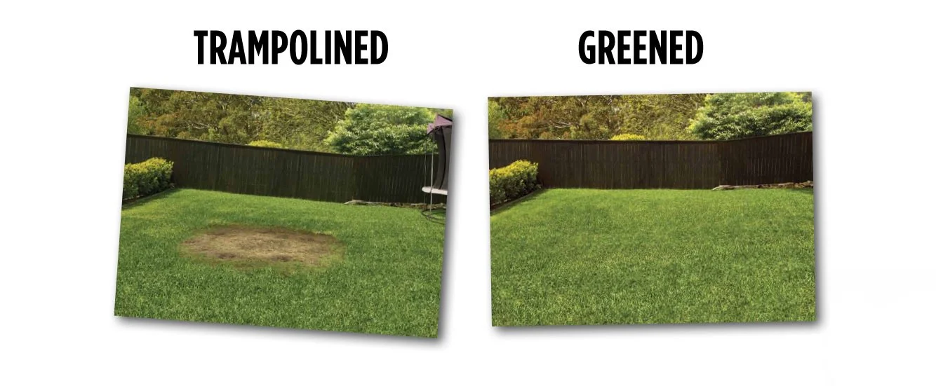 Comparison of a lawn with a patch of dead grass labeled 'Trampolined' on the left and healthy green grass labeled 'Greened' on the right.