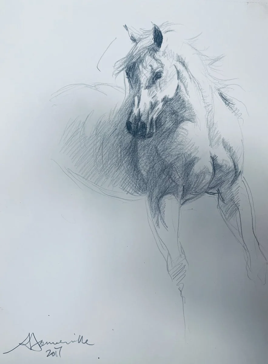 alan-somerville-horse-quick-sketch copy.jpeg